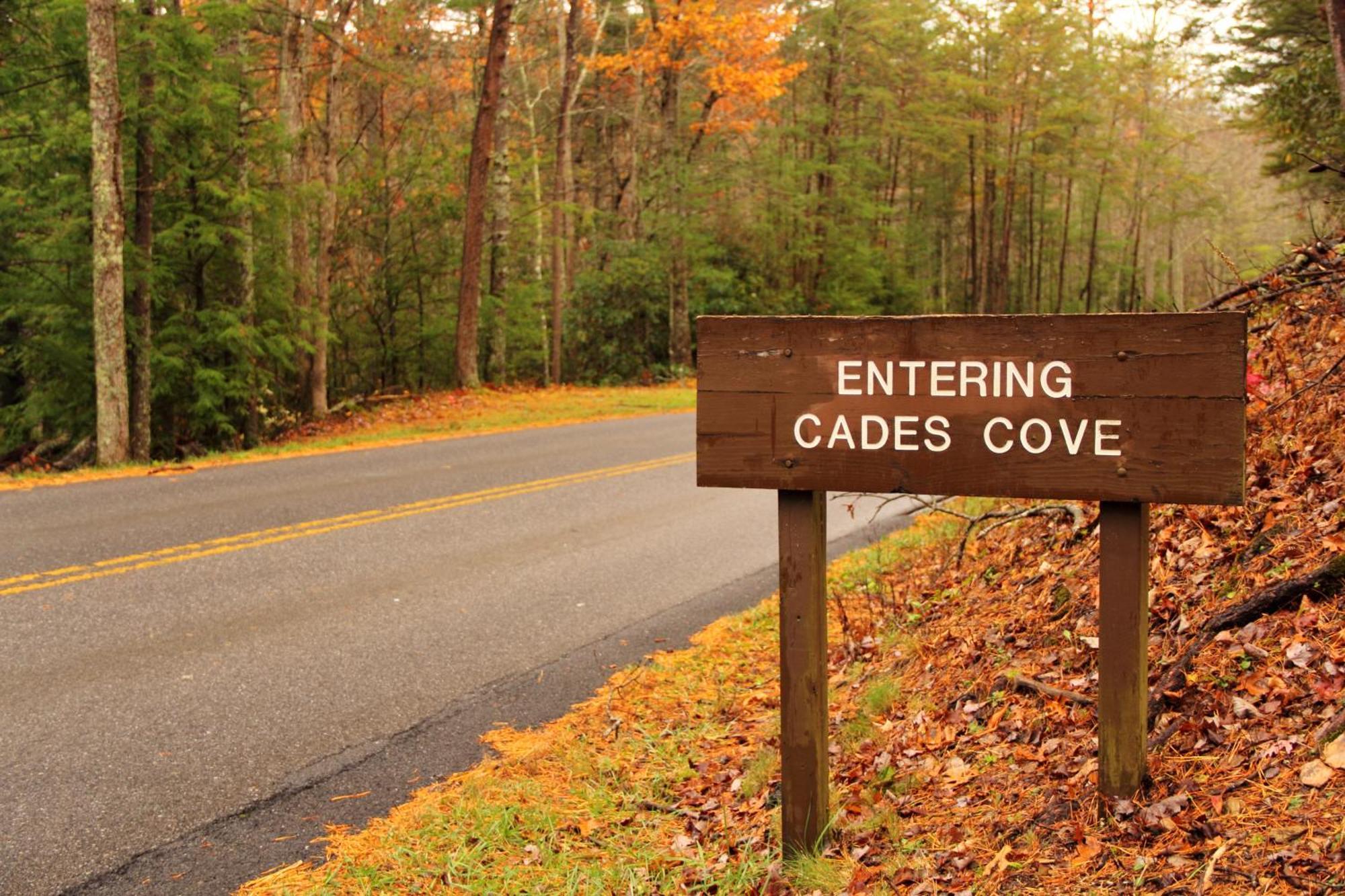 Mountain Lake Lodge, Hot Tub, Theater Room, 1089 Free Tickets Each Paid Day, Dollywood And More Sevierville Exterior foto